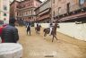 Palio Straordinario: la fotogallery delle Prove di Addestramento Mattutine